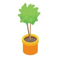 Tree pot plant icon, isometric style vector