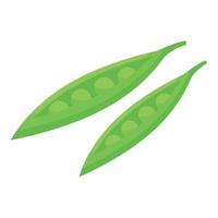 Vitamin d peas icon, isometric style vector