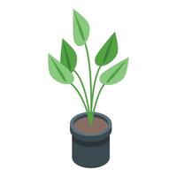 Plant pot icon isometric vector. Flowerpot vase vector