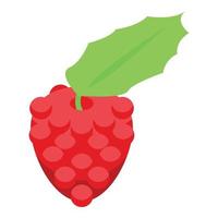 Fresh raspberries icon, isometric style vector