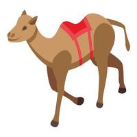 Camel icon, isometric style vector