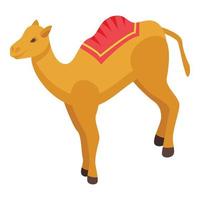 Desert camel icon, isometric style vector