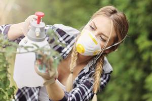 Adult woman spraying plants in garden to protect from diseases photo