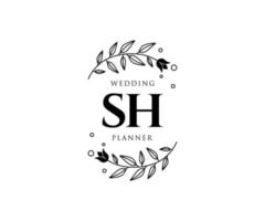 colección de logotipos de monograma de boda con letras iniciales sh, plantillas florales y minimalistas modernas dibujadas a mano para tarjetas de invitación, guardar la fecha, identidad elegante para restaurante, boutique, café en vector