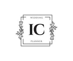 Initial IC feminine logo. Usable for Nature, Salon, Spa, Cosmetic and Beauty Logos. Flat Vector Logo Design Template Element.