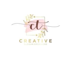 Initial CT feminine logo. Usable for Nature, Salon, Spa, Cosmetic and Beauty Logos. Flat Vector Logo Design Template Element.