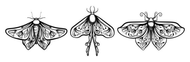 Boho Floral Butterfly Moth Insect Lineart Set Vector Illustration 03