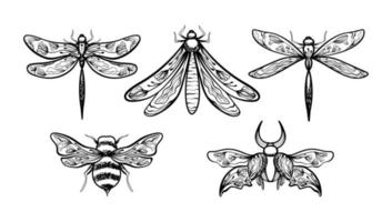 Boho Floral Butterfly Moth Insect Lineart Set Vector Illustration 04