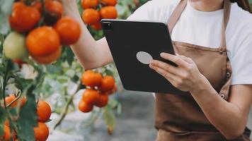 agricultrice travaillant tôt à la ferme tenant un panier en bois de légumes frais et une tablette. video