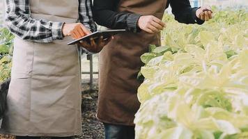 contadina che lavora presto nella fattoria che tiene cesto di legno di verdure fresche e tablet video