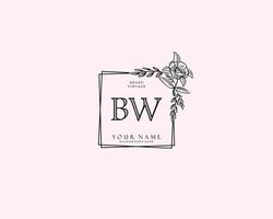 Initial BW beauty monogram and elegant logo design, handwriting logo of initial signature, wedding, fashion, floral and botanical with creative template. vector