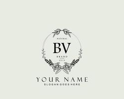 Initial BV beauty monogram and elegant logo design, handwriting logo of initial signature, wedding, fashion, floral and botanical with creative template. vector