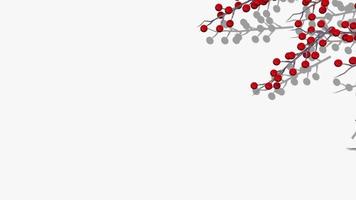Fröhliche Weihnachtsbeeren, die von der rechten Seite fallen 3D-Rendering, Chroma-Key, Luma-Matte video