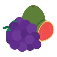 Turkish fruit icon isometric vector. Guava and blackberry fruit icon vector