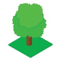 Ash tree icon, isometric style vector