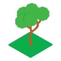 Summer tree icon, isometric style vector