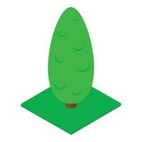 Cypress tree icon, isometric style vector