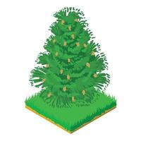 Eastern hemlock icon, isometric style vector