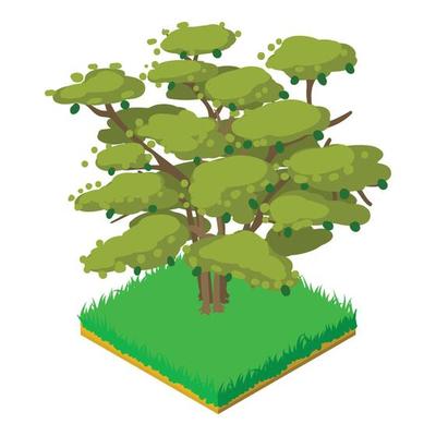 Butternut tree icon, isometric style