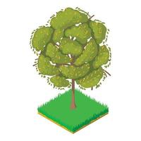 Honey locust icon, isometric style vector