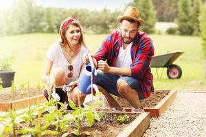 pareja joven plantando vegetales orgánicos foto