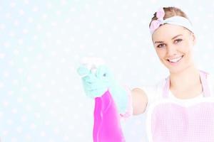 Pretty housewife with spray photo