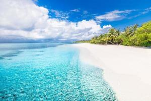 Beautiful beach and tropical nature. Landscape of Maldives islands, amazing blue sea and perfect green palm trees. Luxury resort for vacation and holiday concept. Exotic travel background photo