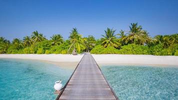Beautiful beach with wooden jetty and green palm tree in Maldives island. Perfect tropical landscape, azure blue sea and calming mood. Exotic luxury resort and summer vacation, travel background photo