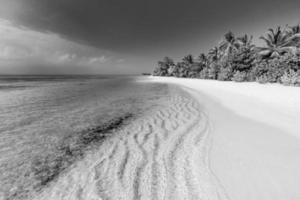 Black and white exotic beach. Tropical landscape view, amazing sea and sand ripples, palms and sea view. photo