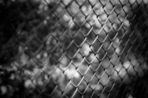 Dramatic fence, war or prison concept, black and white process with soft light. World war or prison texture background photo