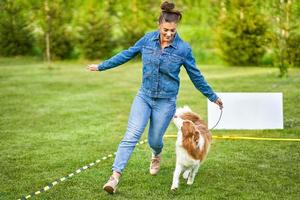 Chocolate White Border Collie with woman owner photo