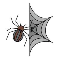 Spider on web icon color outline vector