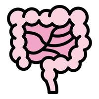 Full digestion intestine icon color outline vector