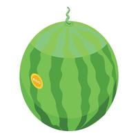 Farm watermelon icon, isometric style vector