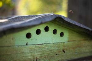 Details of apiary. House for bees. Holes for bees. Creating honey on farm. photo