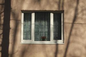 White window with curtains. photo