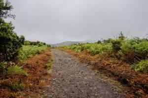 2022 08 18 Madeira path in the clouds photo