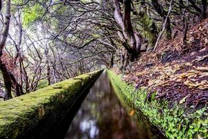 2022 08 17 Madeira levada 17 photo