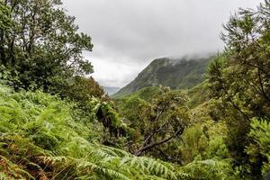 2022 08 17 Madeira levada 10 photo