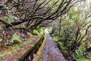 2022 08 17 Madeira levada 8 photo