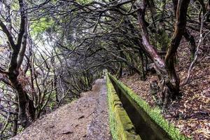 2022 08 17 Madeira levada 4 photo