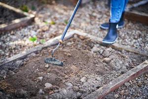 Picture of woman working with tools in the garden photo