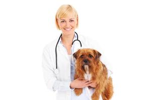 veterinario feliz con un terrier foto