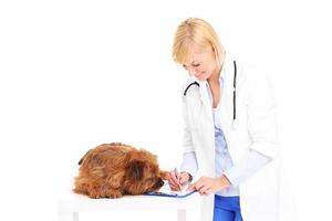 veterinario y perro foto