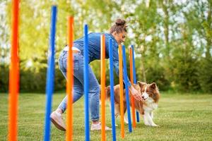 Chocolate White Border Collie with woman owner photo