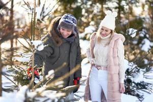 Couple on christmas tree market during winter photo