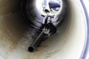 Stray cat in a pipe photo