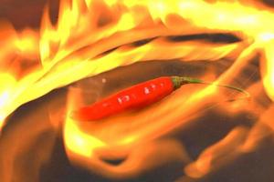 Picture of a red cayenne pepper Capsicum frutescens  with  fire flame and shadow below,   on black background. photo