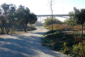 Modern bridge spanning a river, an engineering feat photo