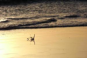 lonely, uncrowded beach with calm sea and small waves photo